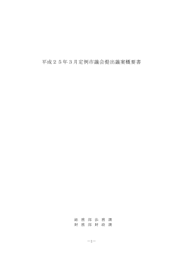 平成25年3月定例市議会提出議案概要書