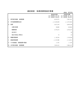 連結資産・負債差額増減計算書