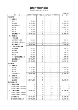 貸借対照表内訳表