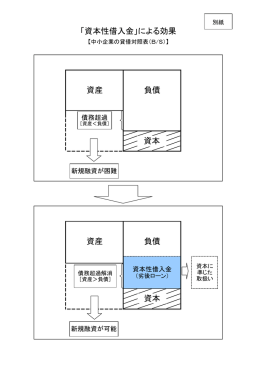 「資本性借入金」による効果 資産 負債 資産 負債 資本 資本