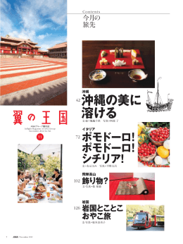 沖縄の美に 溶ける 飾り物？