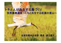 渡辺 竜五