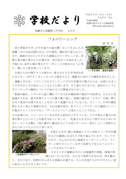 5月学校だより（PDF:935 KB）