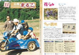 住基ネット第2次稼動開始