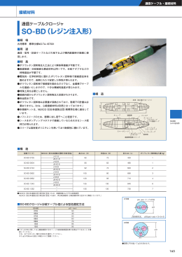 SO-BD（レジン注入形）