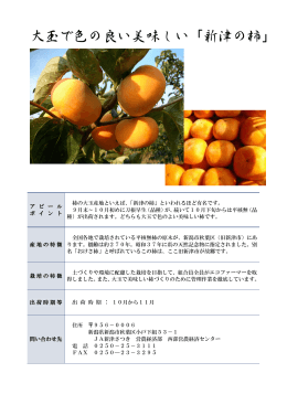 秋葉区の柿です（PDF形式 394 キロバイト）