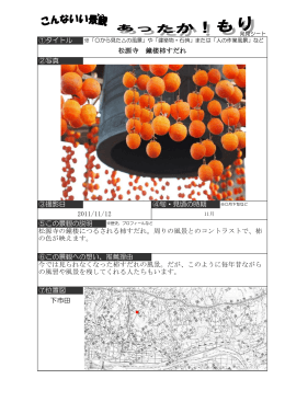 松源寺 鐘楼柿すだれ ⑥この景観への想い