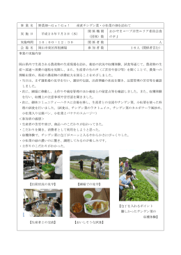 「野菜畑へGo！Go！」 [PDFファイル／230KB]