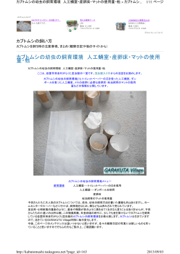 カブトムシの幼虫の飼育環境 人工蛹室・産卵床・マットの使用 量・他