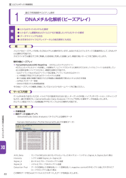 DNAメチル化解析（ビーズアレイ）