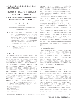 HELMET 法―DNA メチル化部位局在 のための