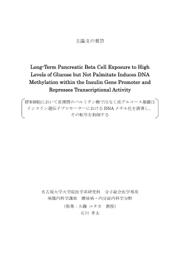 2．甲11092 石川 孝太 主論文の要旨