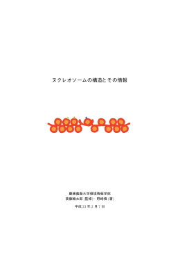 ヌクレオソームの構造とその情報