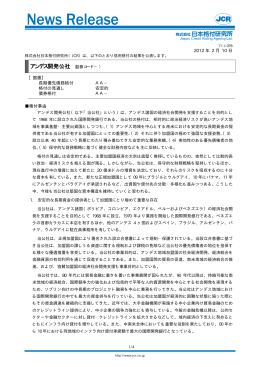 アンデス開発公社