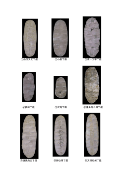 ⑦譲葉渦文丁銀 ⑧御公用丁銀 ⑨文禄石州丁銀 ③戎一文字丁銀 ②小