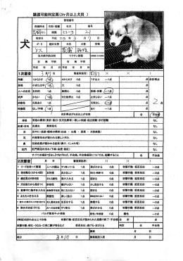 譲渡可能判定票