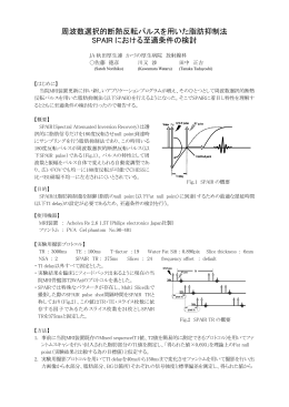 周波数選択的断熱反転パルスを用いた脂肪抑制法 SPAIR における至適