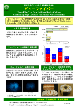 水稲品種コシヒカリの 同質遺伝子系統「関東IL3号」 ビューファイバー