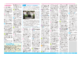 Komaeの仲間、スタート＆チャレンジ [377KB pdfファイル]