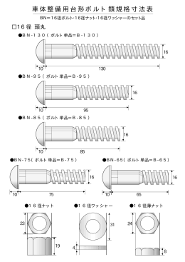 ボルト16径[頭丸]