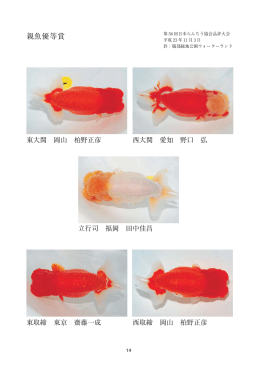 親魚優等賞