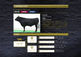 3柴沖茂 - 広島和牛ホームページ