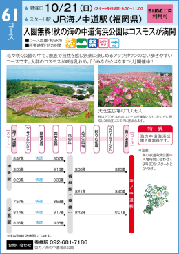 入園無料！秋の海の中道海浜公園はコスモスが満開
