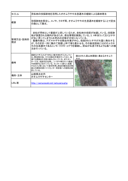 43 赤松林の伐採跡地を活用したオオムラサキ生息適木の植樹による