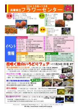 第37回兵庫県連合菊花展覧会