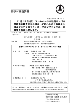 報道発表用資料（pdf）