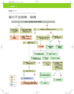 猫の不全麻痺／麻痺