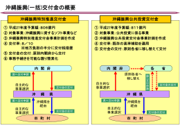 沖縄振興一括交付金（PDF：40KB）