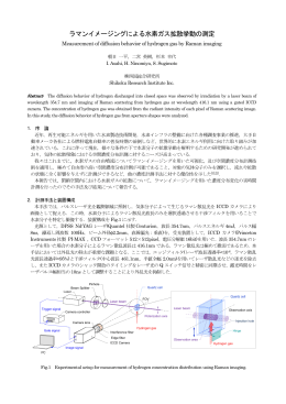 予稿集 p.90-91