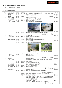 ビクトリアの滝とケープタウン8日間