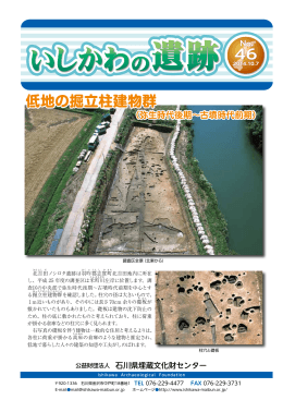 低地の掘立柱建物群