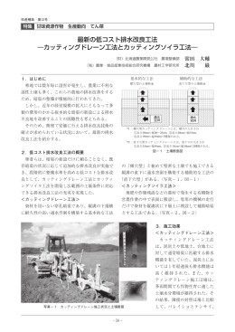 最新の低コスト排水改良工法 ―カッティングドレーン工法とカッティング