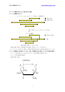 デンプン型構造の作り方と枝分れの数の求め方 20140326