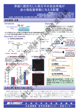 界面に固定化した高分子の自由末端が血小板粘着挙動に