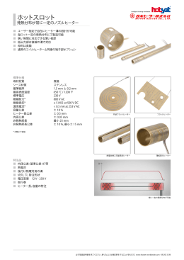 ホットスロット(355KB A4,2ページ 和文)
