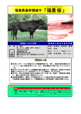 福景桜資料（PDF 1634kb）