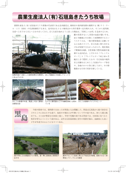 黒 島 - 石垣島きたうち牧場/プレミアムビーフのKRS