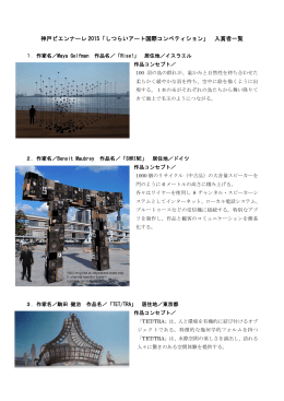 神戸ビエンナーレ 2015「しつらいアート国際コンペティション」 入賞者一覧