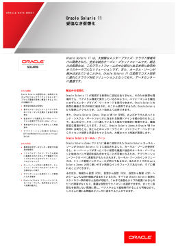 Oracle Solaris 11