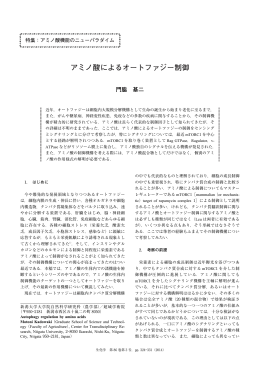 アミノ酸によるオートファジー制御