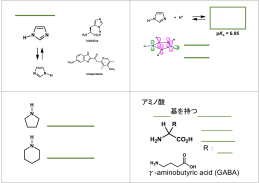 アミノ酸 基を持つ R ： γ-aminobutyric acid (GABA)