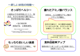～新しい米粉の特徴～ 優れたアミノ酸バランス さっぱりヘルシー もっちり
