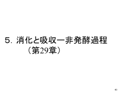 消化と吸収ー非発酵過程