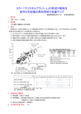 カラー「クリスタルブラッシュ」の秋切り栽培は 前年5月定植の再