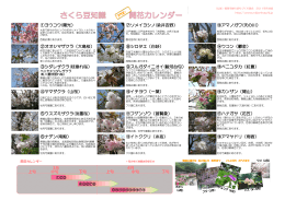 開花カレンダー - 緑のまちづくり 公益財団法人 福岡市緑のまちづくり協会