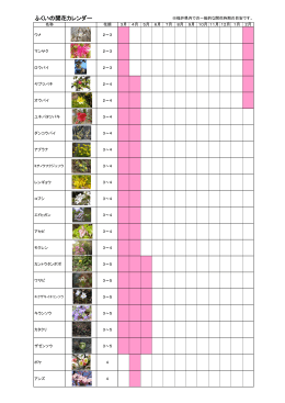 ふくいの開花カレンダー（PDF形式 1188キロバイト）